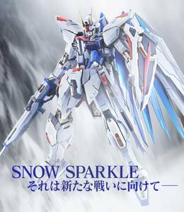 バンダイ METAL BUILD 機動戦士ガンダムSEED フリーダムガンダム CONCEPT 2 未開封品