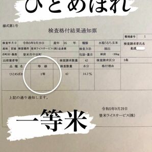 玄米　1.8キロ　お試しサイズ　令和5年産　ひとめぼれ　一等米　宮城県登米市中田町