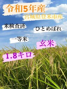 玄米　1.8キロ　お試しサイズ　令和5年産　一等米　宮城県登米市中田町産　ひとめぼれ