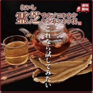 長白山赤霊芝(ジャスミン茶葉と割るとさっぱり美味しい！カフェでも人気のドリンクです！)