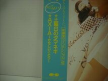 ■ 帯付 12インチ 　斉藤由貴　/ 土曜日のタマネギ AXIA～かなしいことり～ 谷山浩子 武部聡志 1986年 C12A0491 ◇r60205_画像3