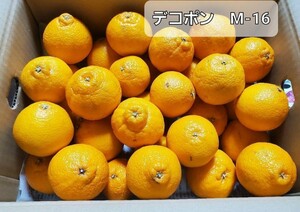 熊本県産　デコ　M16　箱込5.5キロ　小玉　値下