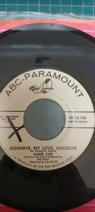 オリジナルUS盤7インチ Jamie coe Goodbye my love goodbye ティーンポップ オールディーズ　ロックンロール