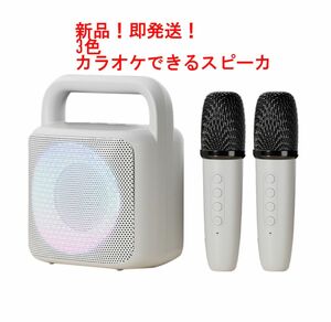 スピーカー Bluetooth ワイヤレスマイク 2本 カラオケセット家庭用 車載　充電式 マイク 録音USB/TF　パーティー