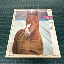 優駿 1984年2月号 日本中央競馬会 千明牧場三代記 リードホーユー ロングハヤブサ ブライトシンボリ_画像3