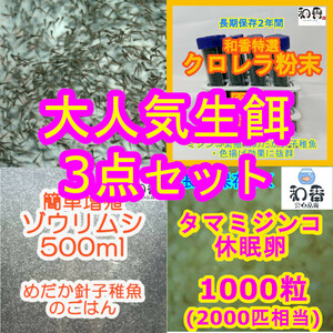 実績No1★送料安★大人気生餌3点 ゾウリムシ500ml＆タマミジンコ休眠卵1000粒&粉末生クロレラ 稚魚用 めだか金魚グッピーの餌エサえさPSB