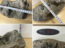 ■ アンモナイト 集合体 化石 穂別 サイズ約24×9×14㎝ 重量 約3.6Kg (B-2) ★_画像10