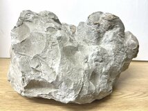 ■ アンモナイト 化石 穂別 サイズ約13×23×22㎝ 重量 約7.4Kg (B-1) ★_画像4