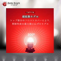 1年保証 T10 LED 赤 2個セット BL018 テールポジション 無極性 レッド 360°発光 ルームランプ LEDバルブ ステルス 代引き可_画像3