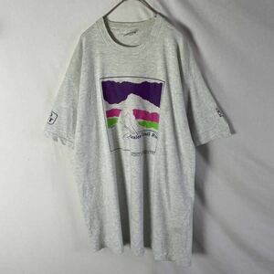 フルーツオブザルーム　アメリカ製　ヴィンテージ 半袖プリントTシャツ　古着　XLサイズ