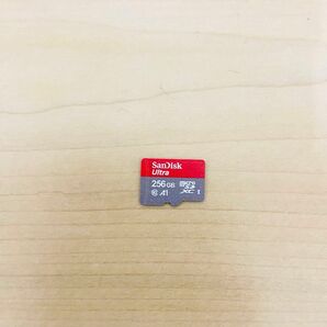 SanDisk サンディスク　マイクロSDカード　256GB 任天堂Switch対応