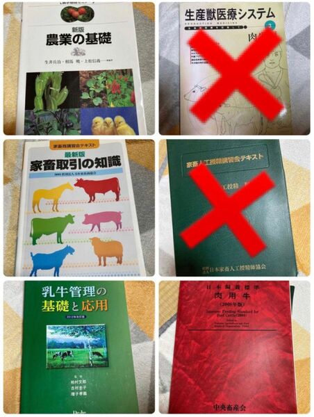 畜産 農業 テキスト 教科書 4冊