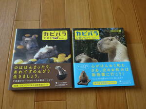 カピバラ大好き　カピバラに合いたい！　写真集 2冊　渡辺克仁 