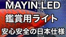 最近注文増えてます　1500水槽用意さ(142㌢)　安心安全の日本仕様　MAYIN LED 観賞用ライト　マイン　マインライト　100V アロワナ　金魚_画像1