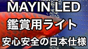 最近注文増えてます　1500水槽用意さ(142㌢)　安心安全の日本仕様　MAYIN LED 観賞用ライト　マイン　マインライト　100V アロワナ　金魚