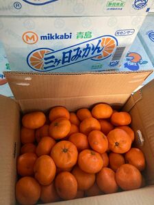 734.特売　静岡県産ブランド三ヶ日みかん青島柑橘類 優品　箱込み3kg 