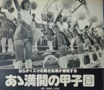 ★平凡パンチ　724　1978年8月28日　甲子園チア(モノクロ)/田村順子/島崎奈々/青山涼子/シェリー/藤たか子_画像2