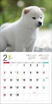 2023年カレンダー 柴犬 (誠文堂新光社カレンダー)_画像9
