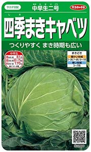 サカタのタネ 実咲野菜2006 四季まきキャベツ 中早生二号 00922006