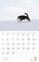 カレンダー2023 柴犬 (月めくり/壁掛け) (ヤマケイカレンダー2023)_画像9