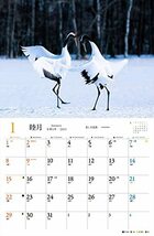 カレンダー2023 幻想の日本 世界一美しい風景 (月めくり/壁掛け) (ヤマケイカレンダー2023)_画像8