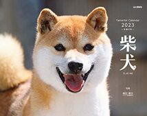 カレンダー2023 柴犬 (月めくり/壁掛け) (ヤマケイカレンダー2023)_画像1