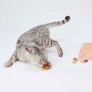 petio(Petio) cat for toy ... leather dental TOY string .... orange 