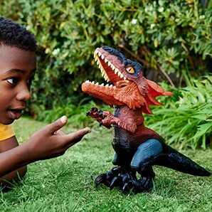 マテル ジュラシックワールド(JURASSIC WORLD) 新たなる支配者 スーパーアクション! ベビー・ピロラプトルの画像2