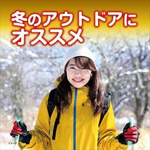 桐灰カイロ 貼らない カイロ 24時間持続 30個入_画像4