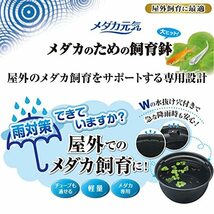 ジェックス GEX メダカ元気 メダカのための飼育鉢 みかげ 370 約外径37×高さ20cm 約12L 屋外飼育 樹脂_画像4