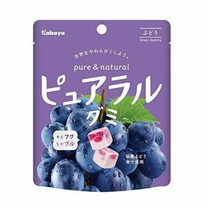 カバヤ食品 カバヤ ピュアラルグミ ぶどう 58g ×8袋の画像1