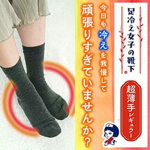 レック 足冷え女子の靴下 超薄手 レギュラー (サイズ目安 23~25cm) 吸湿発熱 ヒート＋α繊維配合_画像2