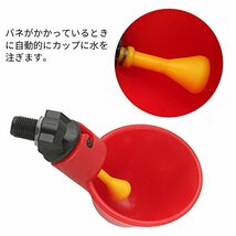 10個入り 家禽用自動給水器 鳥 鶏 鳩 給水器 ドリンカー フィーダー 自動水飲み プラスチック製 簡単 水量調節可_画像4