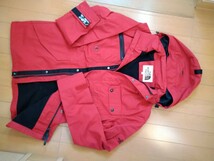 THE NORTH FACE マウンテンパーカー　M95 大き目　L程度　ノースフェイス_画像1