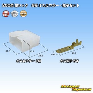 住友電装 250型 逆ロック 6極 オスカプラー・端子セット