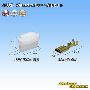 矢崎総業 250型 2極 メスカプラー・端子セット