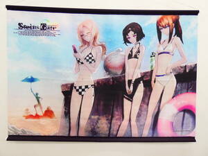 Dc3/STEINS;GATE C78＆DreamParty東京2010秋限定 水着タペストリー