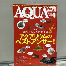 アクアライフ 2014.11 こ① アクアリウムのベストアンサー 小型の熱帯コイ サメのような魚たち 幹之メダカ のニュータイプ ベタ コンテスト_画像1