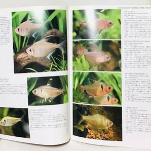 アクアマガジン 第6号 ウ①3 特集 南米 小型 カラシン ハチェット テトラ 1990 SUMMER の画像4