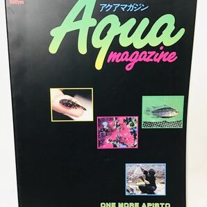 アクアマガジン 第28号① ONE MORE APISTO NEW FISHES アピスト アルタミーラ の新顔 プレコ 1995 WINTER 定価1500円⑥オ