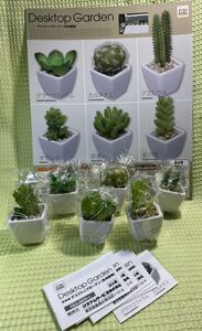 コロコレ　デスクトップガーデン 多肉植物　全6種セット