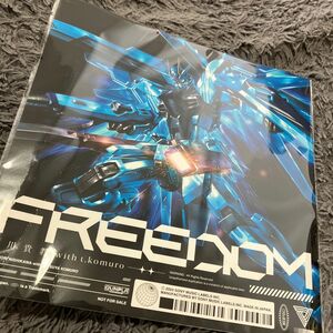 FREEDOM 西川貴教 機動戦士ガンダムSEED メガジャケのみ