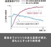 状態良い中古品！　パナソニック 目もとエステ 海外対応 ゴールド調 EH-SW68-N_画像5