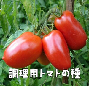 調理用トマト・リオグランデの種子 6粒 RIO GRANDE 固定種 洋梨のような形のトマト 支柱がいらないタイプ！ トマトソースなどに…