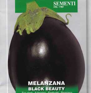 ナス ブラックビューティーの種子 8粒 BLACK BEAUTY 茄子 濃い紫色の丸なす 固定種