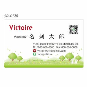 オリジナル名刺印刷 100枚 両面フルカラー 紙ケース付 No.0120