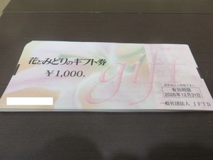 【大黒屋】【普通郵便送料無料】花とみどりのギフト券 1000円×27枚 27000円分 有効期限(2026.12.31.22枚・2027.12.31.5枚) 