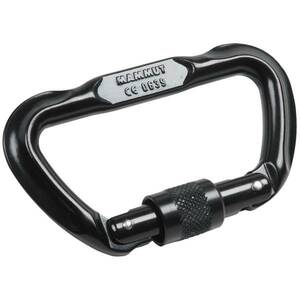 MAMMUT マムート　ロック　カラビナ　Lock D　黒