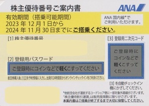 《クリックポスト送料無料》★ＡNA株主優待券★【10枚×1～9セットまで選べます！】有効期限：2024年11月30日　優待券　全日空