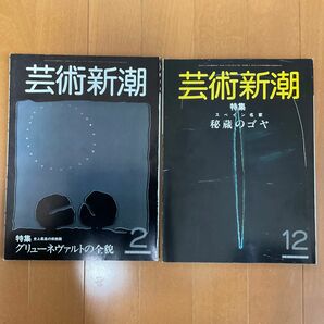 芸術新潮　グリューネヴァルトの全貌　1983年2月号　秘蔵のゴヤ　1983年12月号